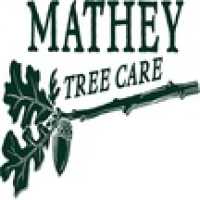 Mathey Tree Care & Consulting Logo